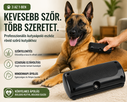 Kutyaápolás egyszerűen – Szőrtelenítő és izzadság eltávolító eszköz
